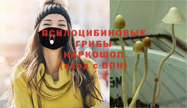 spice Волосово